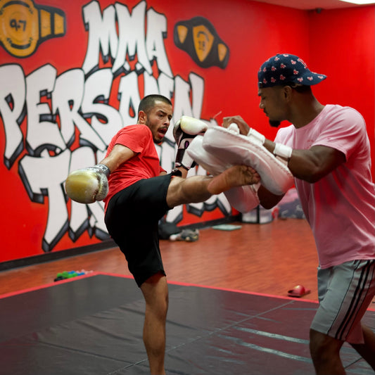4 Kickboxing 1 on 1 Sessions Per Month