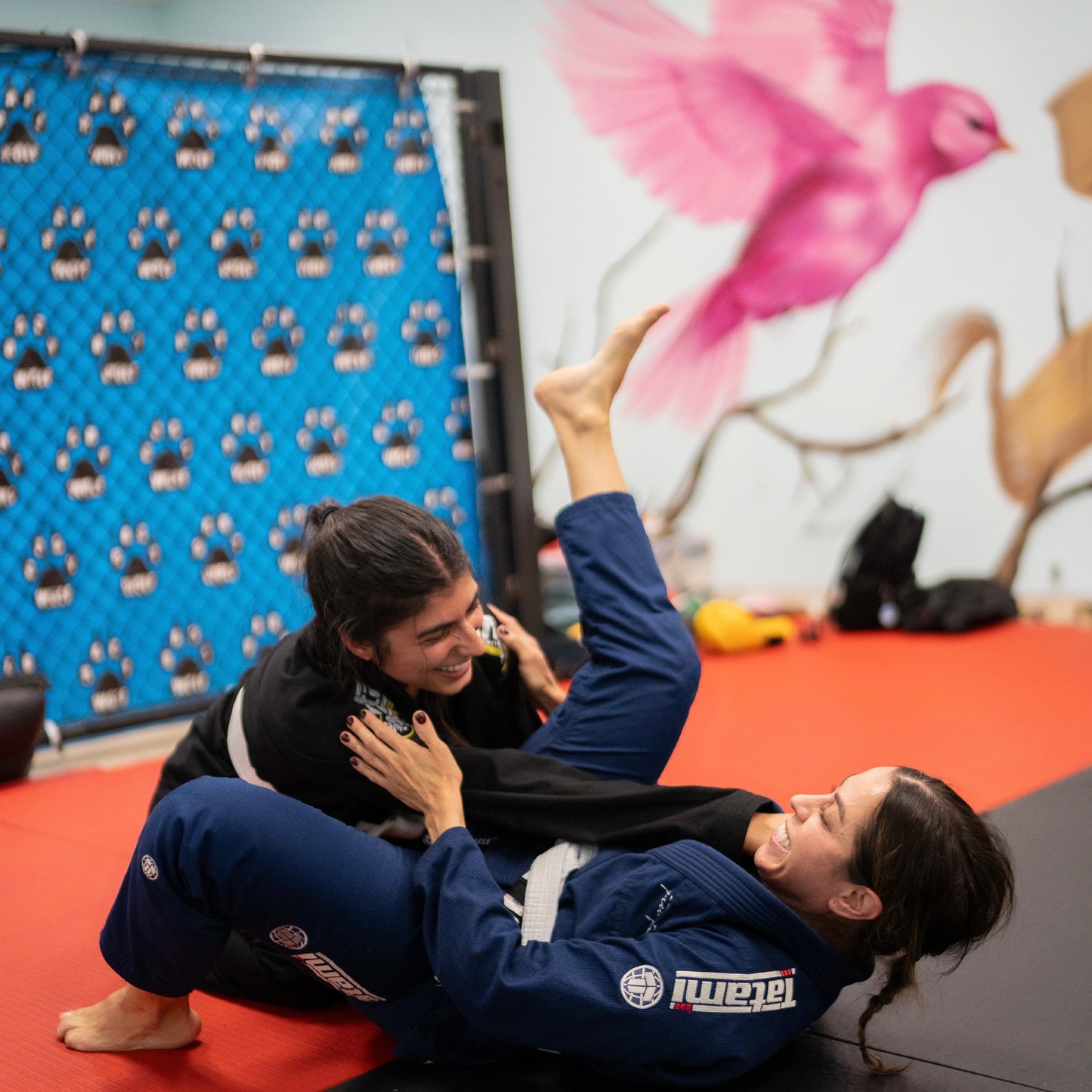 Adult Jiu Jitsu (Gi)